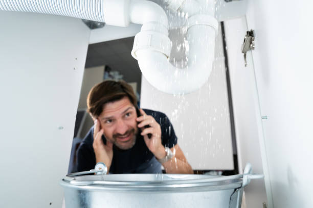 Best Plumbing Inspection Services  in Eldorado, IL